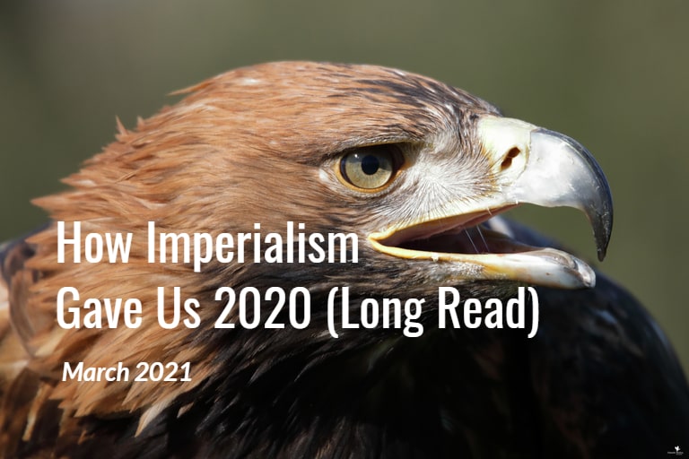 How Imperialism Gave Us the Nightmare of 2020 (Long Read)