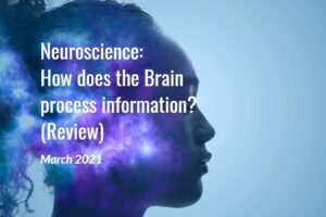Neuroscience: How does the Brain process information? (Review)