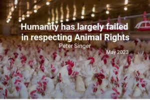 Read more about the article I helped trigger the Animal Rights movement nearly 50 years ago. Here’s an update.