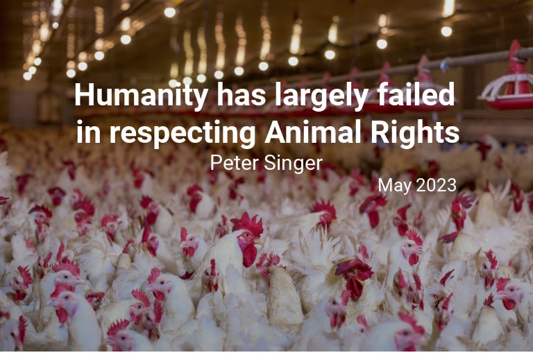 I helped trigger the Animal Rights movement nearly 50 years ago. Here’s an update.