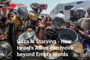Read more about the article Gaza is Starving – how Israel’s allies can move beyond empty words