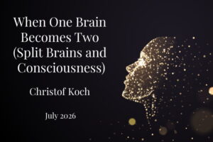 Read more about the article When One Brain Becomes Two (Split Brains and Consciousness)